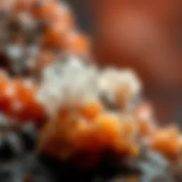 A stunning display of igneous crystals showcasing their unique textures and colors