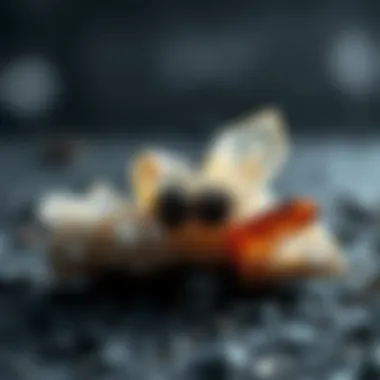 Metamorphic Crystals: The Art of Transformation Exquisite metamorphic crystals exhibiting their complex transformations