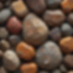 A stunning display of diverse igneous rocks showcasing their textures and colors.