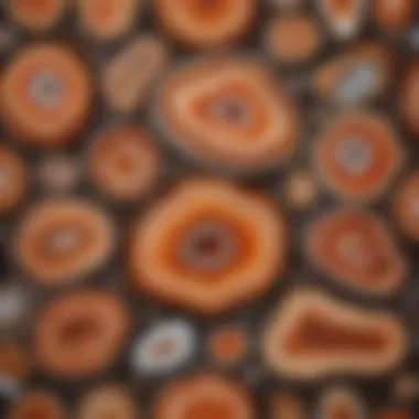 A close-up view of various agate slices revealing their intricate banding patterns