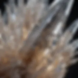 Close-up view of quartz crystal structure showcasing clarity and facets