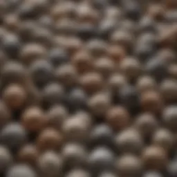 Close-up view of various rock tumbler pellets