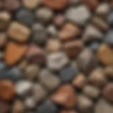 A close-up view of various rock types showcasing their textures and colors
