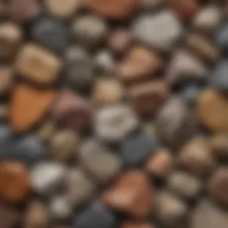 A close-up view of various rock types showcasing their textures and colors