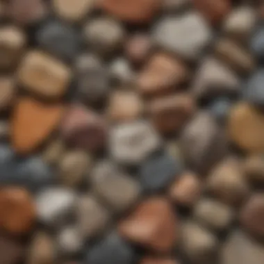 A close-up view of various rock types showcasing their textures and colors