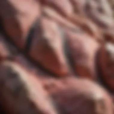 Close-up view showcasing the texture of the pink rock with black spots