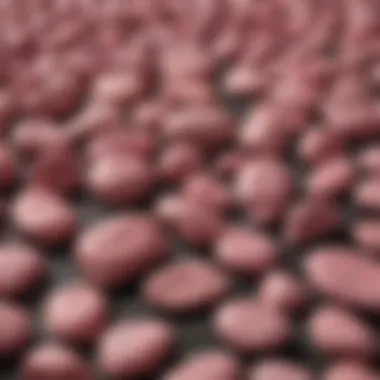 Collection display showcasing various pink rocks with black spots