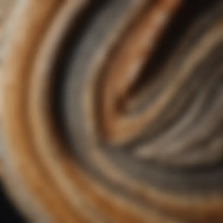 Close-up of a mammoth tooth fossil highlighting its unique texture.