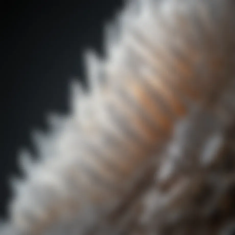 Close-up view of a selenite crystal showcasing its translucent layers