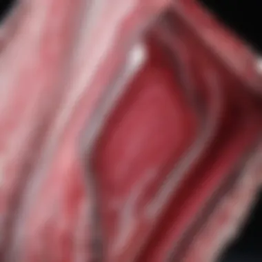 Polished Rhodochrosite Crystal Close-up of polished rhodochrosite crystal showcasing its vibrant pink and white banding.