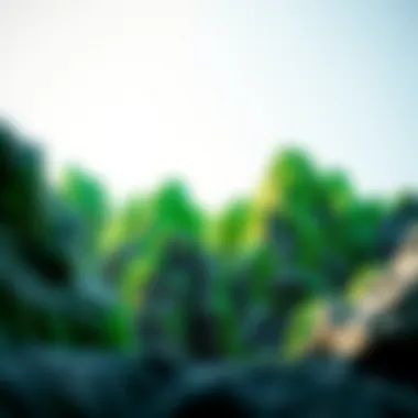 Beauty of Natural Greenish Rock Formations An artistic representation of greenish rock formations in a natural setting, highlighting their beauty