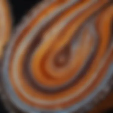 Intricate Banding Patterns of Agate Close-up of a stunning agate slice showcasing intricate banding patterns
