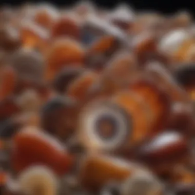 Aesthetic Value of Polished Agate Stones Collection of polished agate stones highlighting their aesthetic value
