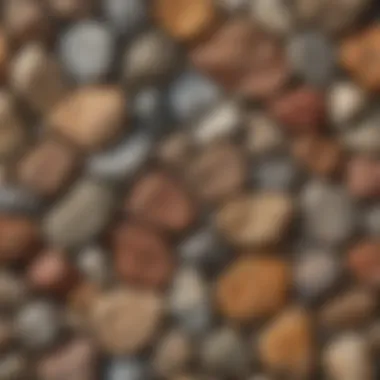 An array of different rock types displayed in a natural setting, highlighting their unique textures
