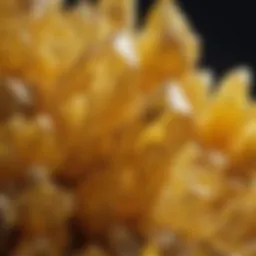 Close-up of a vibrant yellow mineral showcasing its crystalline structure