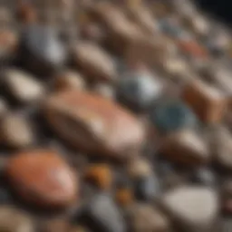 Close-up of various geological specimens
