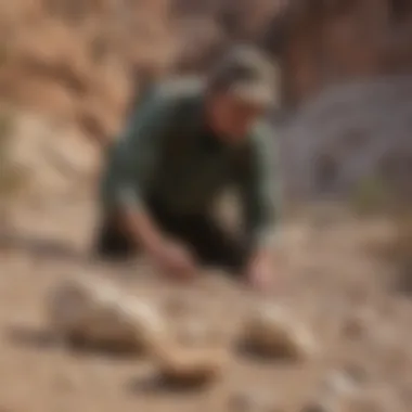 A fossil hunter examining a fossilized bone in a remote Utah site.