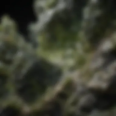High-Quality Moldavite Texture A close-up view of high-quality moldavite showcasing its unique texture and color variations.