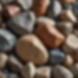 A close-up view of various rock samples showcasing their unique textures and colors.