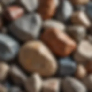 Diverse Rock Textures and Colors A close-up view of various rock samples showcasing their unique textures and colors.