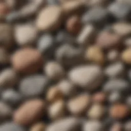 A close-up of different rock samples showcasing various textures and colors.