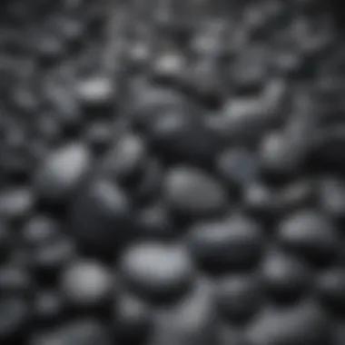 Diversity of Black Stones A stunning array of black stones showcasing various textures and patterns