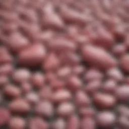 A collection of various pink stones showcasing their unique textures and colors