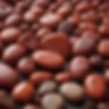 Showcasing the Beauty of Red Jasper An elegant display of red jasper stones emphasizing their aesthetic appeal.