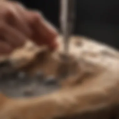 Precision Fossil Preparation with Air Scribers Close-up of an air scriber tool in action on a fossil