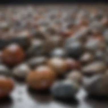 An array of polished rocks displayed elegantly for appreciation.