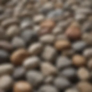 A selection of various unpolished rocks ready for polishing.