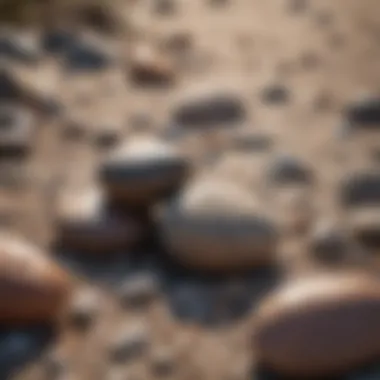 Natural setting showcasing beach pebbles in their environment