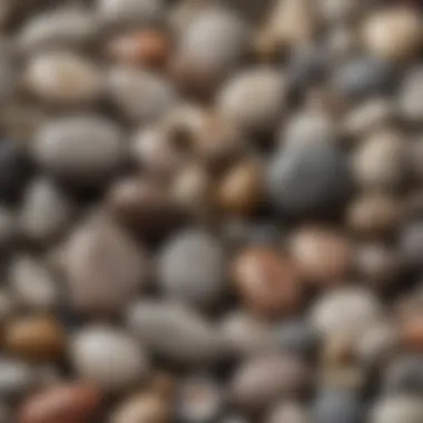 Collection of various Petoskey stones displayed in natural light