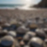 Glistening Petoskey stones on the shoreline