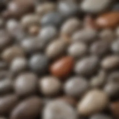 A selection of authentic Petoskey stones at a local shop