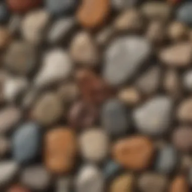 A close-up view of different rock samples showcasing their unique textures and colors.