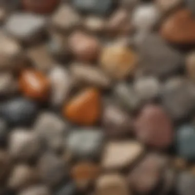 Close-up view of different rock samples showcasing their textures and colors