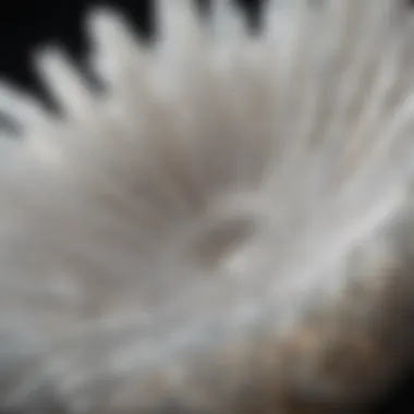 Close-up of the intricate patterns found in a selenite bowl