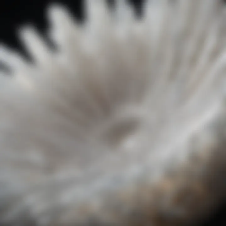 Close-up of the intricate patterns found in a selenite bowl