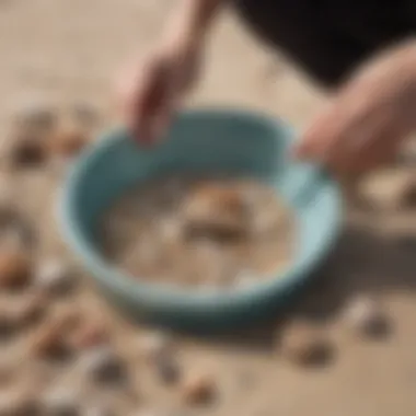 An individual using the Susick Sea Shell Sifter at the beach, demonstrating its functionality in action.