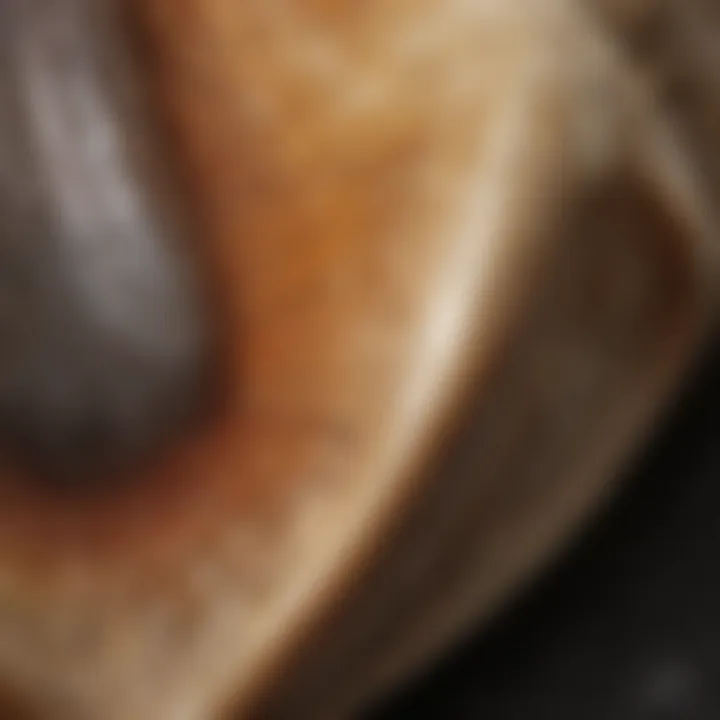 Close-up of a well-preserved dinosaur tooth under natural light