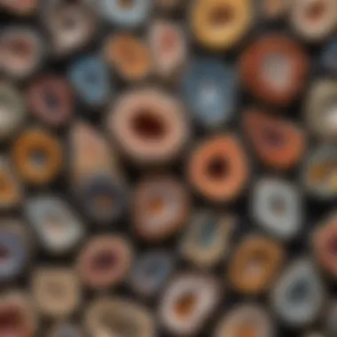 Diverse Characteristics in a Geode Collection A beautifully arranged collection of various types of geodes, each exhibiting distinct characteristics.