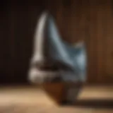 Authentic Megalodon tooth displayed on a wooden background