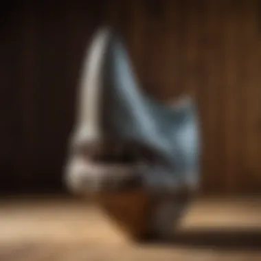 Authentic Megalodon tooth displayed on a wooden background