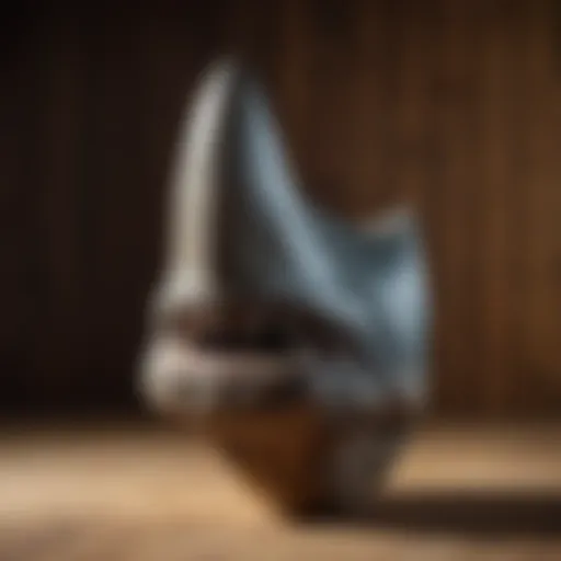 Authentic Megalodon tooth displayed on a wooden background