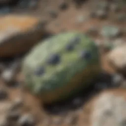 Close-up view of the unique green rock showcasing black spots