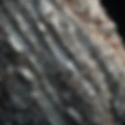 Close-up view of phyllite rock showcasing its shiny surface and layered texture.