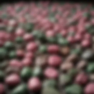 Showcase of Pink and Green Rock Collection A collection of pink and green rocks displayed in a collectors' showcase