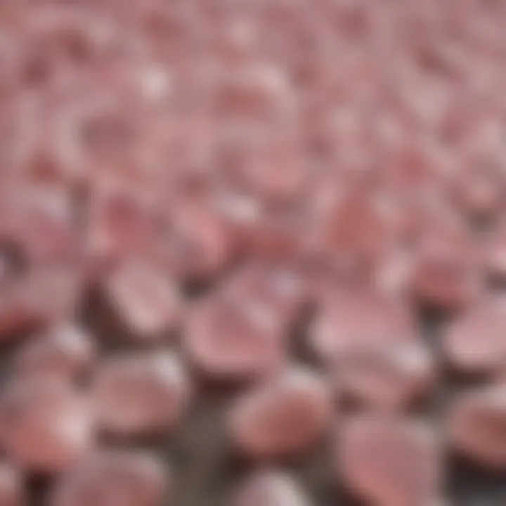 A collection of raw rose quartz stones in various shapes and sizes arranged aesthetically