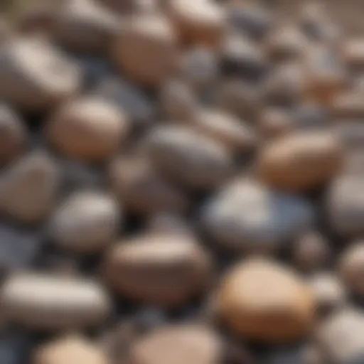 A variety of rocks found in a backyard setting